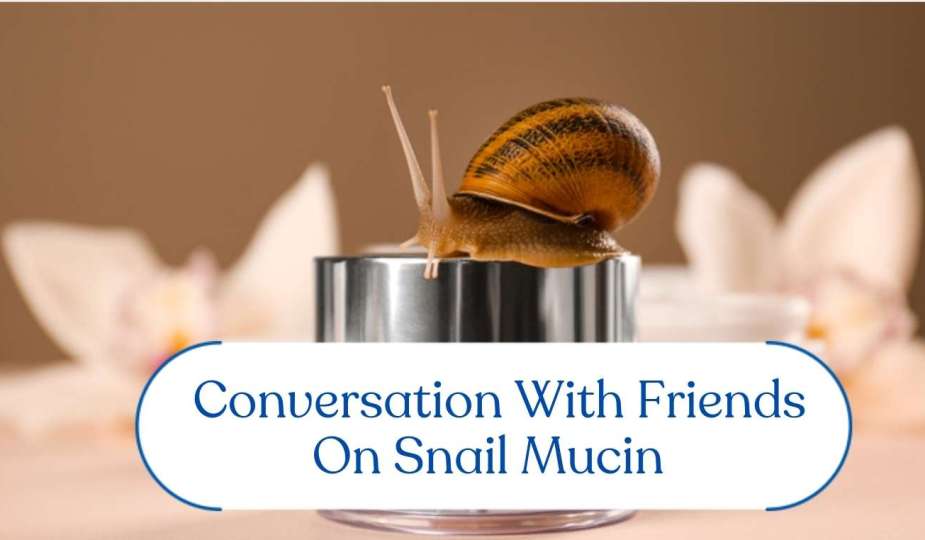 Snail Mucin: Does It Really Work? Conversation With Friends